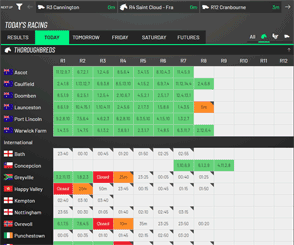 PlayUp racing markets interface